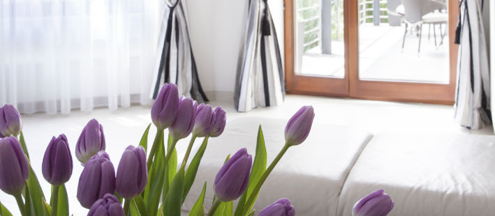 Dehumidifier Florida