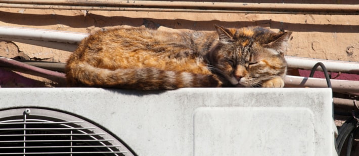 How to Reduce Stress on Your AC While Keeping Your Home Cool