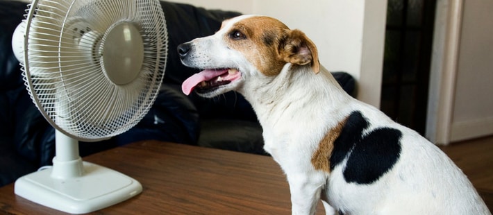 Why Is One Room Hotter Than The Rest