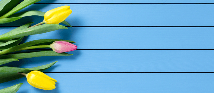 Spring Home AC Maintenance Tips for Florida Homeowners